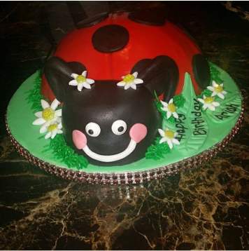 Ladybug Themed Birthday Cake